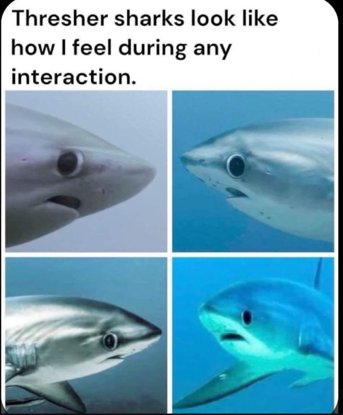 24 Memes That Shouldn’t Be This Funny (But Are) 7 How I feel