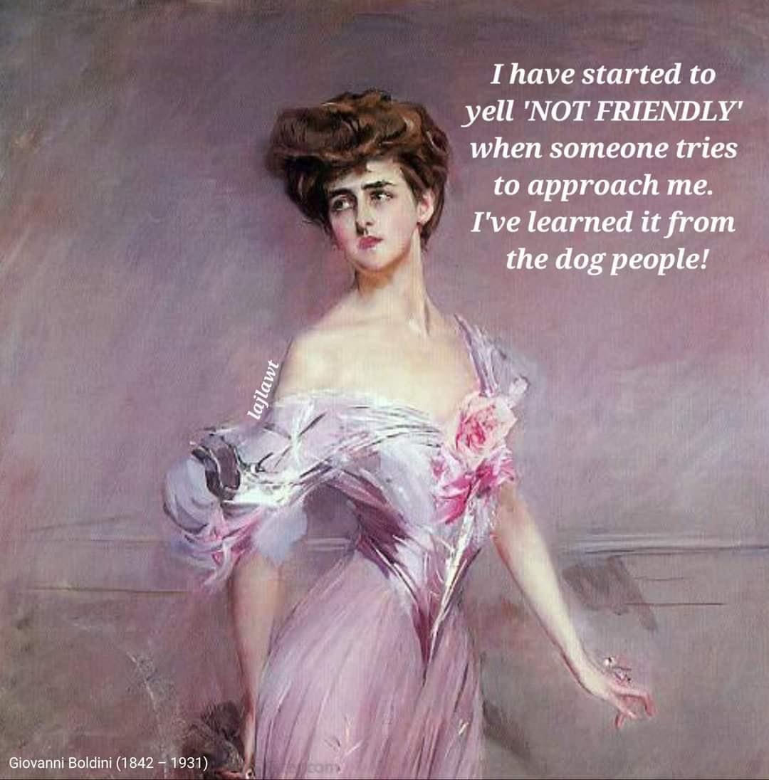 30 Side-Splitting Memes With a Dash of British Wit 4 I have started to yell