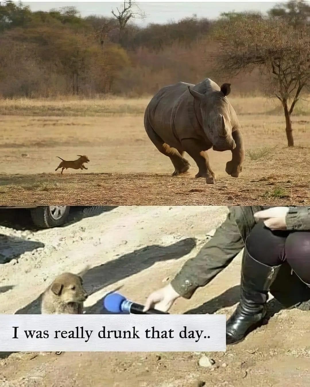 35 Sarcastic Memes Because Killing People Is Illegal 19 I was drunk