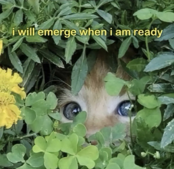 20 Memes So Chill, They’ll Melt Your Stress Away 8 I will emerge