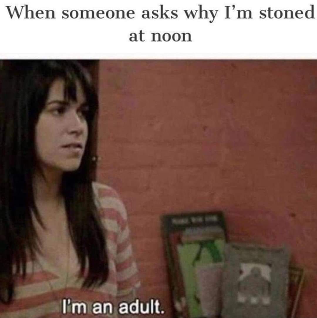 35 Hilarious Stoner Memes That Will Make Everyone Cough Up A Lung 5 Im an adult