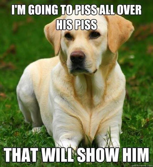 20 Pee Memes That’ll Break Your Bladder with Laughter 11 Im going to piss - Pee Memes