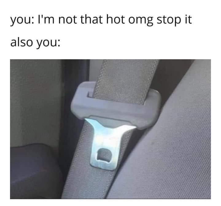 23 Memes That Are Definitely Worth Procrastinating For 13 Im not that hot