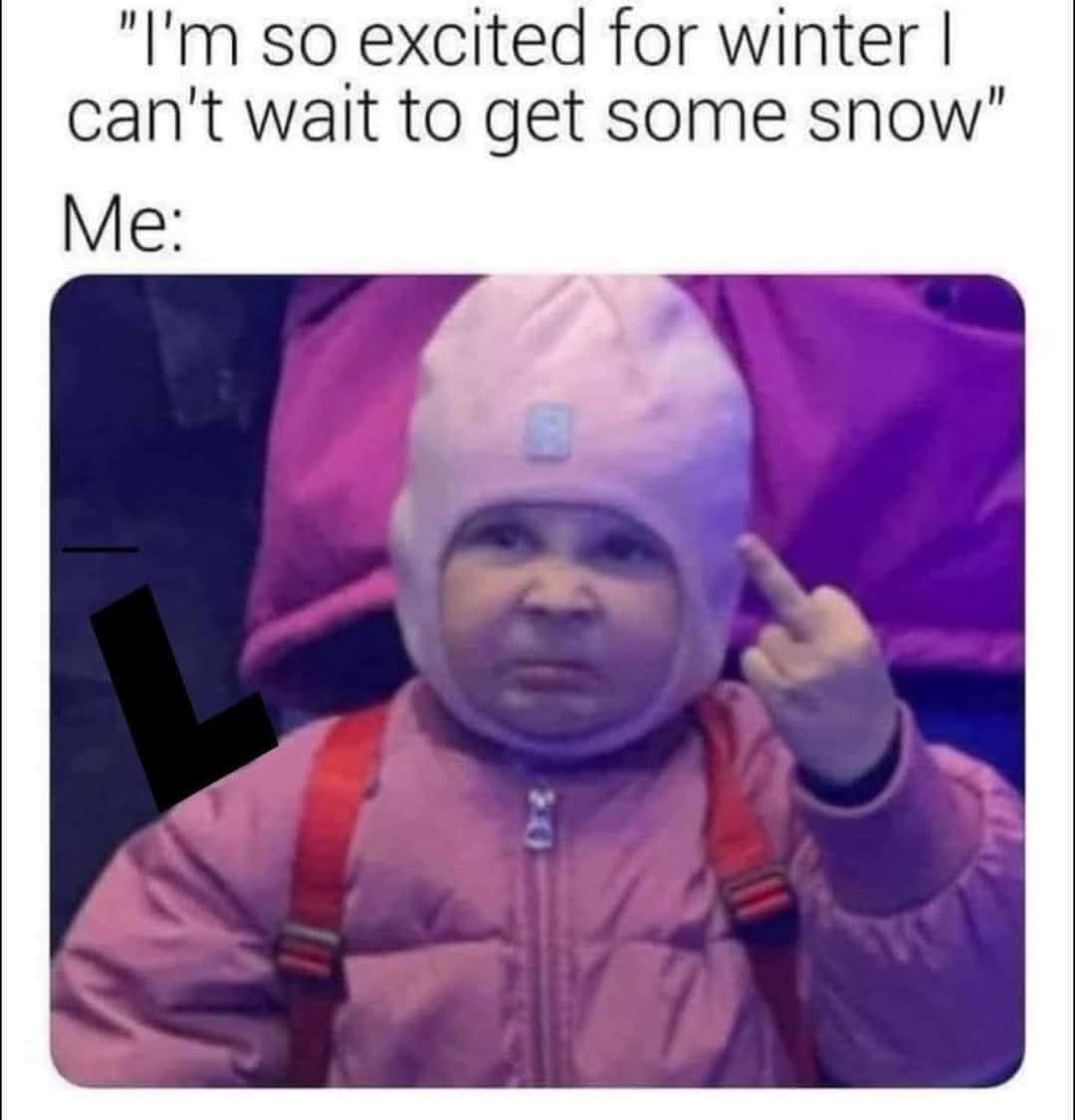 30 Side-Splitting Memes With a Dash of British Wit 9 Im so excited