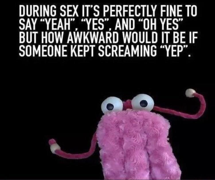15 Memes That Are Basically the Definition of Random Humor 8 Its perfextly fine to say