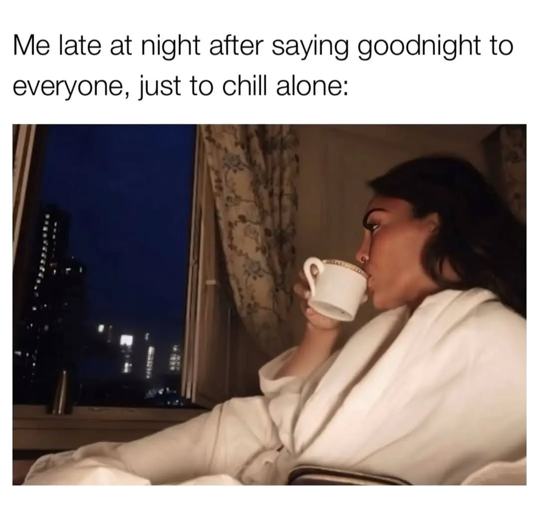 30 Funny Introvert Memes for Those Who'd Rather Be Alone 28 Me late at night