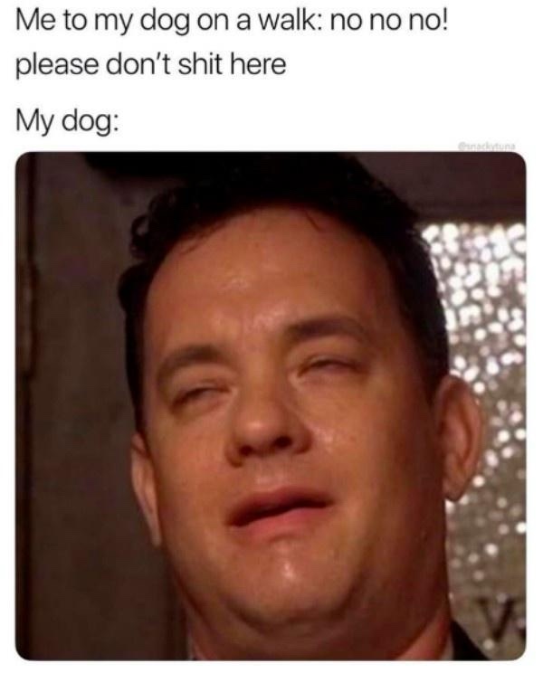 21 Memes to Make the Most of Your Extra Hour from Daylight Savings! 11 Me to my dog