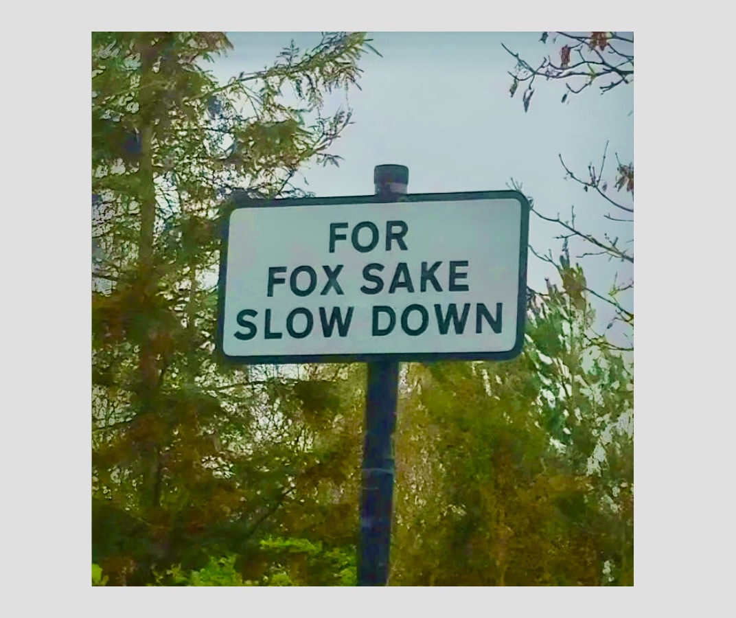 Memes With a Dash of British Wit FG