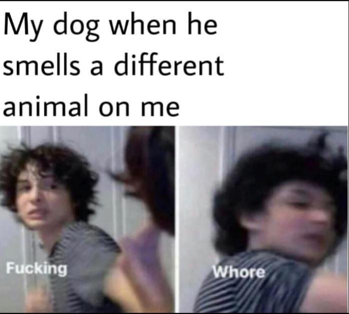22 Memes You Won’t Be Able to Unsee (Good Luck!) 8 My dog when he smells