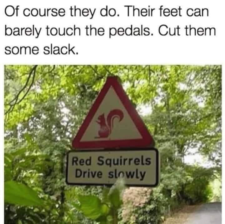 30 Side-Splitting Memes With a Dash of British Wit 10 Of course they do