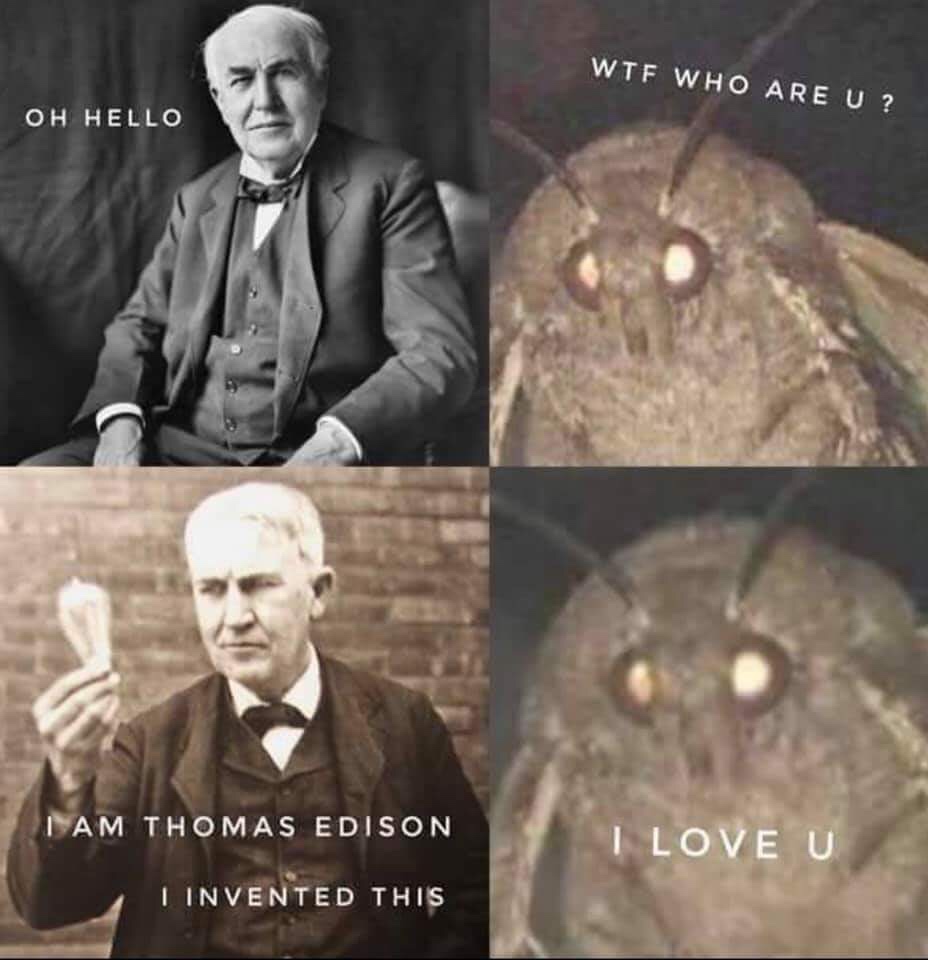 24 Moth Memes That Are Simply Drawn to the Light (And You’ll Be Too!) 17 Oh hello - moth memes