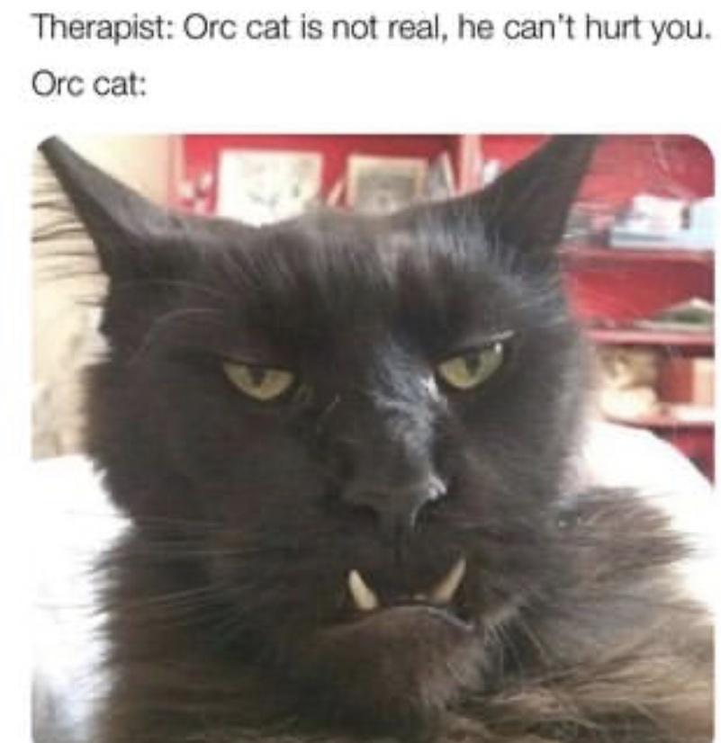 15 Memes That Are Basically the Definition of Random Humor 12 Orc cat is not real
