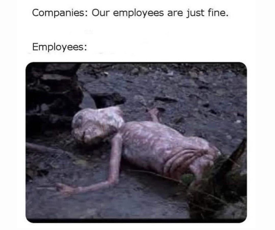 23 Memes to Scroll Through While Avoiding Responsibility 16 Our employees are just fine