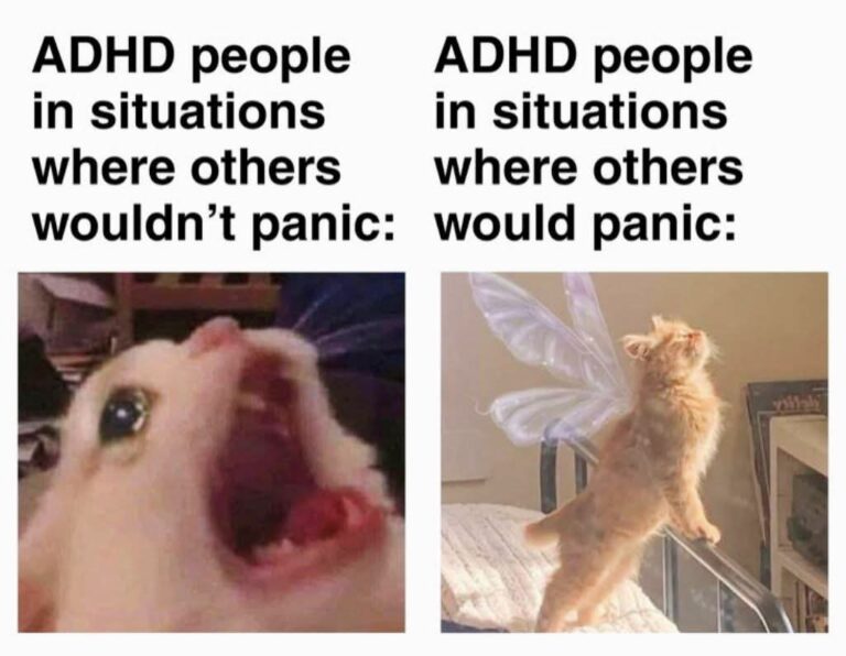 40 ADHD Memes: For When You Can't Focus On Anything Else - Funny