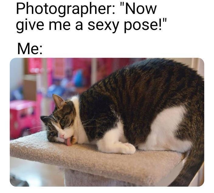 15 Memes to Scroll Through Faster Than a Blink 9 Photographer