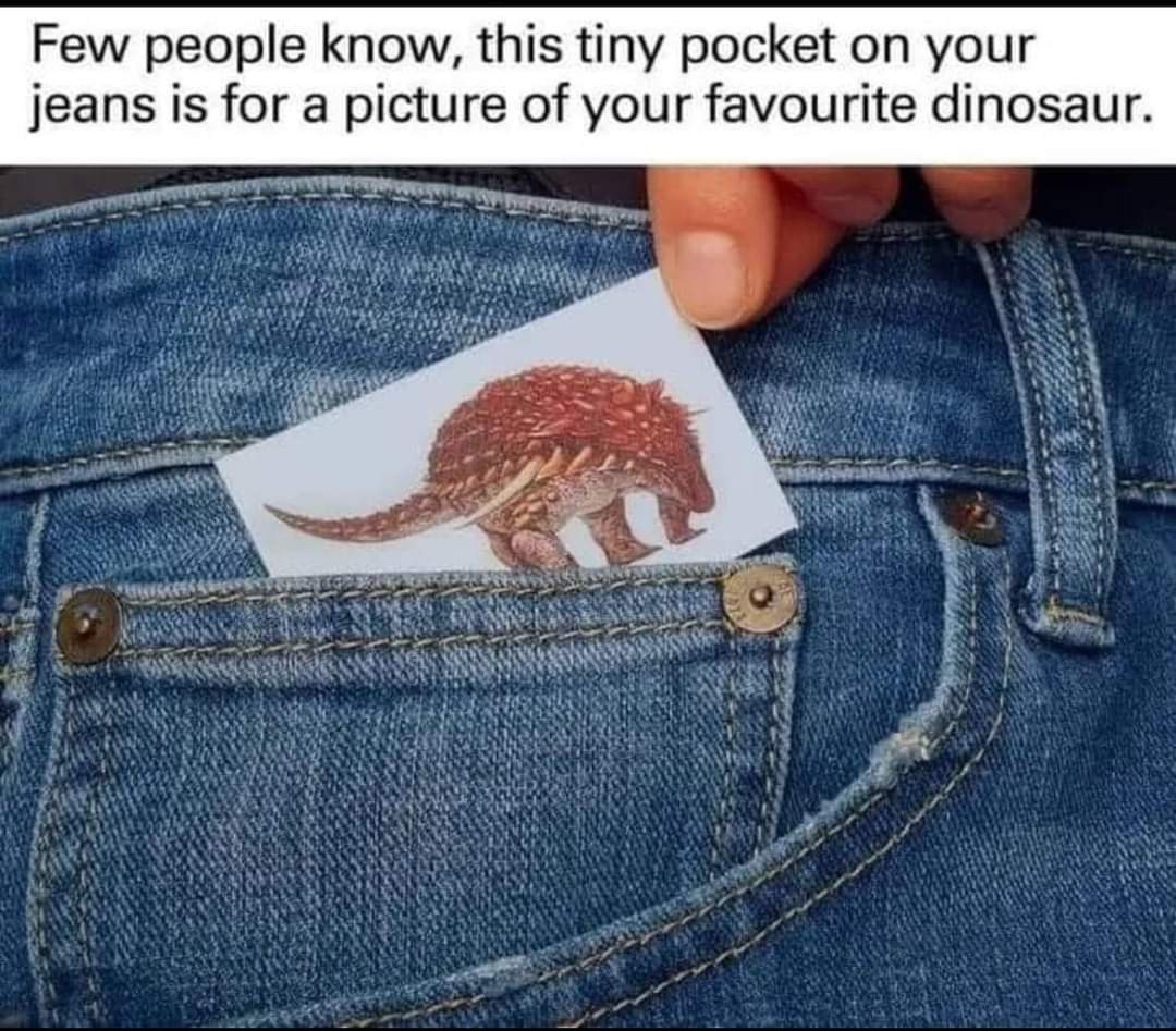 23 Memes to Distract You from Whatever You’re Avoiding 12 Picture of your favorite dinosaur