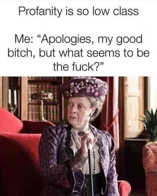 20 Memes So Chill, They’ll Melt Your Stress Away 15 Profanity is so lowcalss