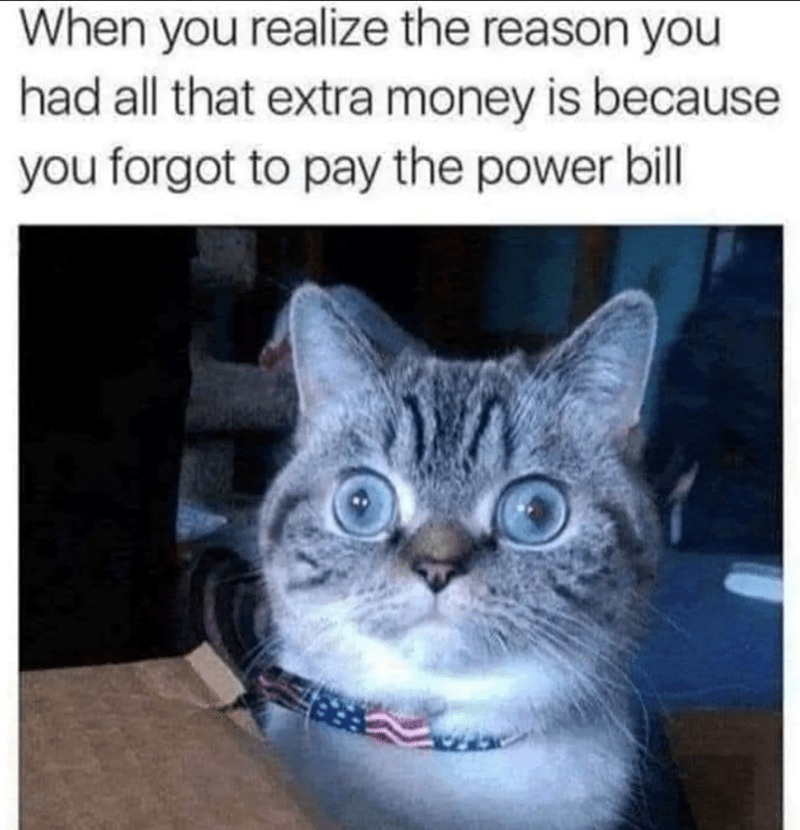 35 Cat Humor Memes: A Prescription for Instant Smiles 34 Reason you had all thatextra money