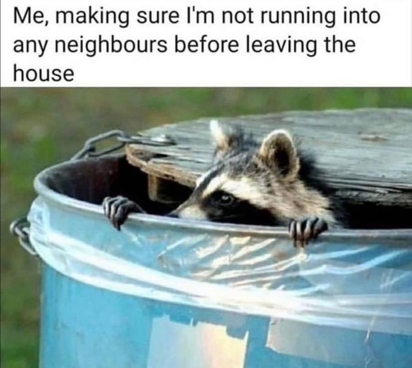 33 Absurdist Humor That Capture the Madness of Life 32 Running into my neighbors