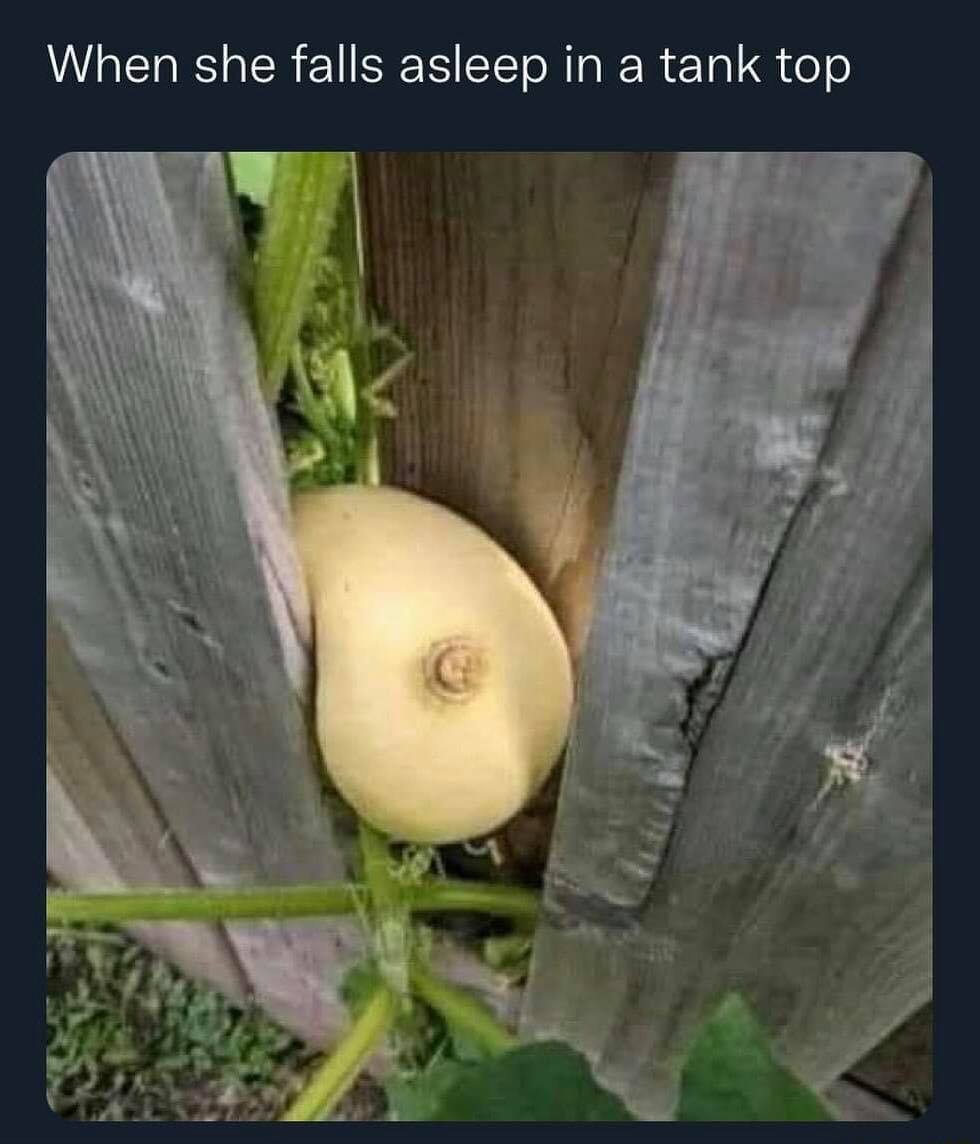 29 Horny Memes for a Naughty Giggle 28 She falls asleep