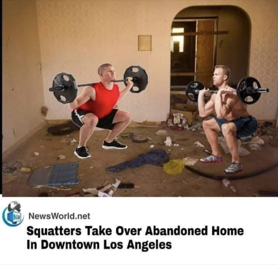 28 Silly Memes That Will Make You Wonder What's So Funny 28 Squatters takeover
