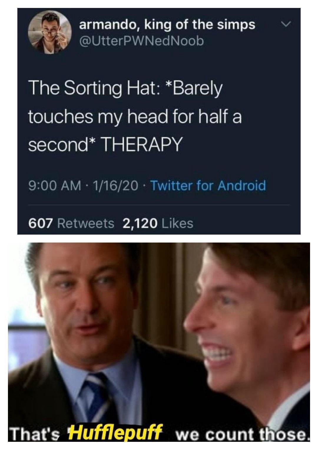 23 Memes to Scroll Through While Avoiding Responsibility 18 The sorting hat
