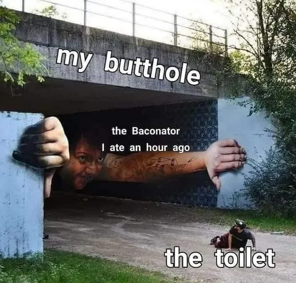20 Memes That Deserve a Little Censorship 14 The toilet