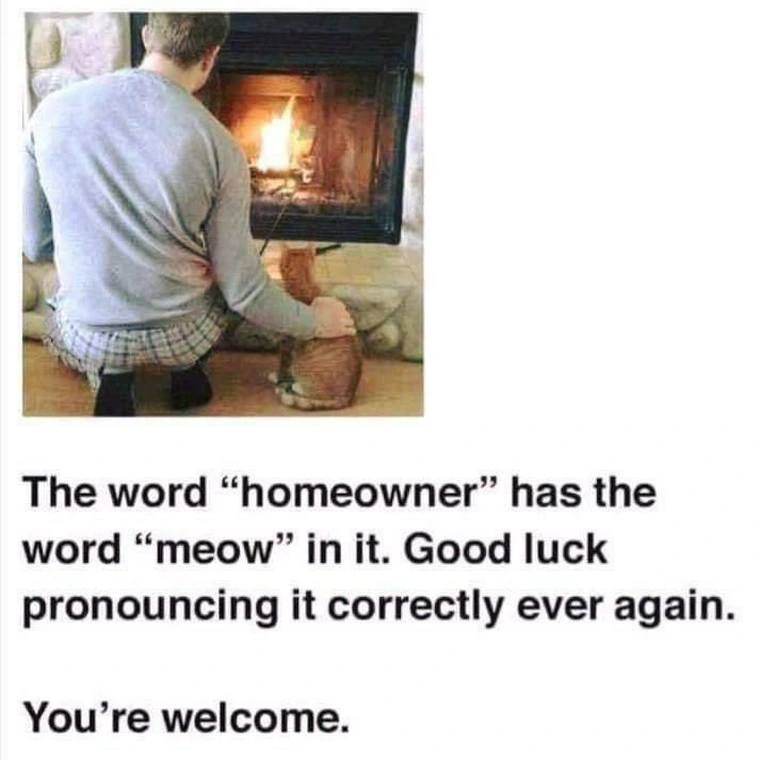 20 Furry Cat Memes That Might Just Be the Key to Happiness 15 The word homeowner - Furry Cat Memes