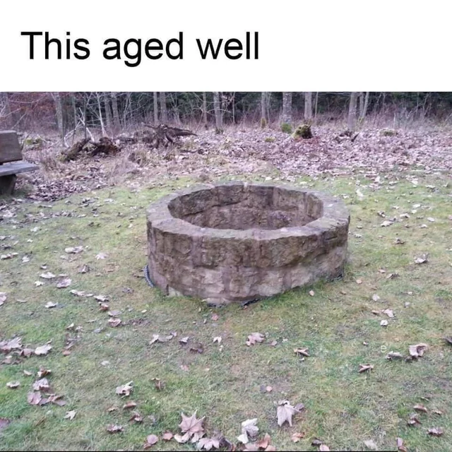 This aged well - literal meme