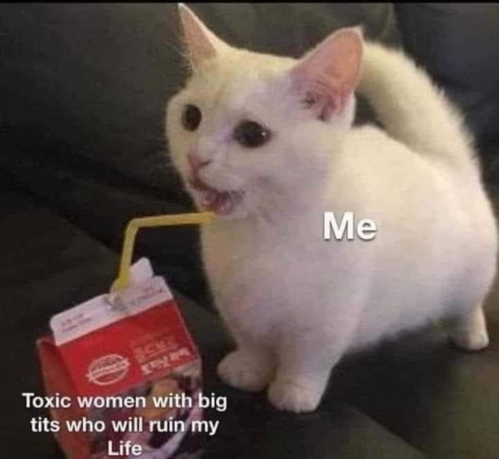 12 Memes That Will Instantly Improve Your Day (Or Night) 9 Toxic women