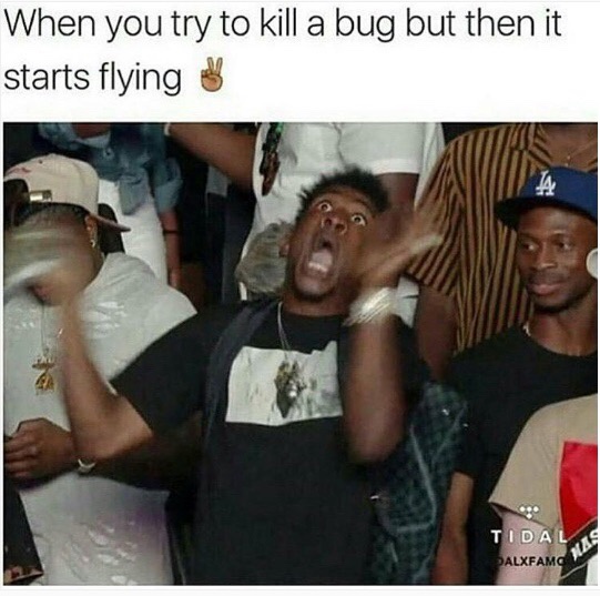 21 Memes to Make the Most of Your Extra Hour from Daylight Savings! 16 Try to kill a bug
