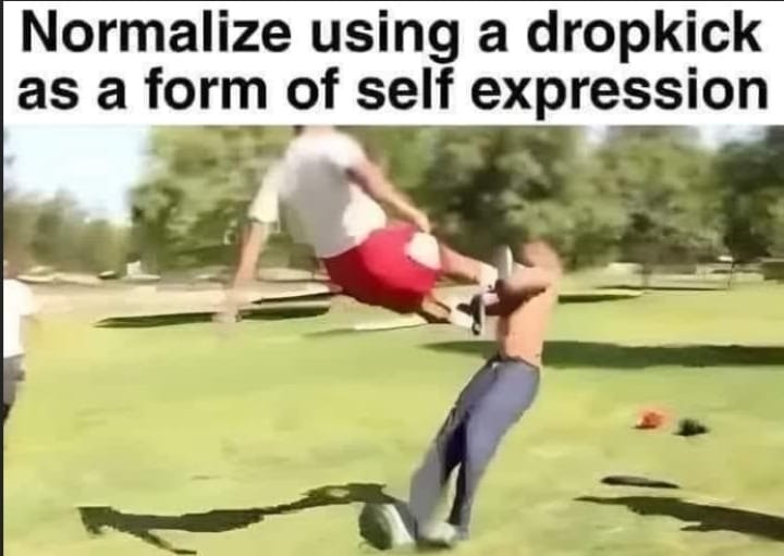 20 Memes That Deserve a Little Censorship 16 Using dropkick
