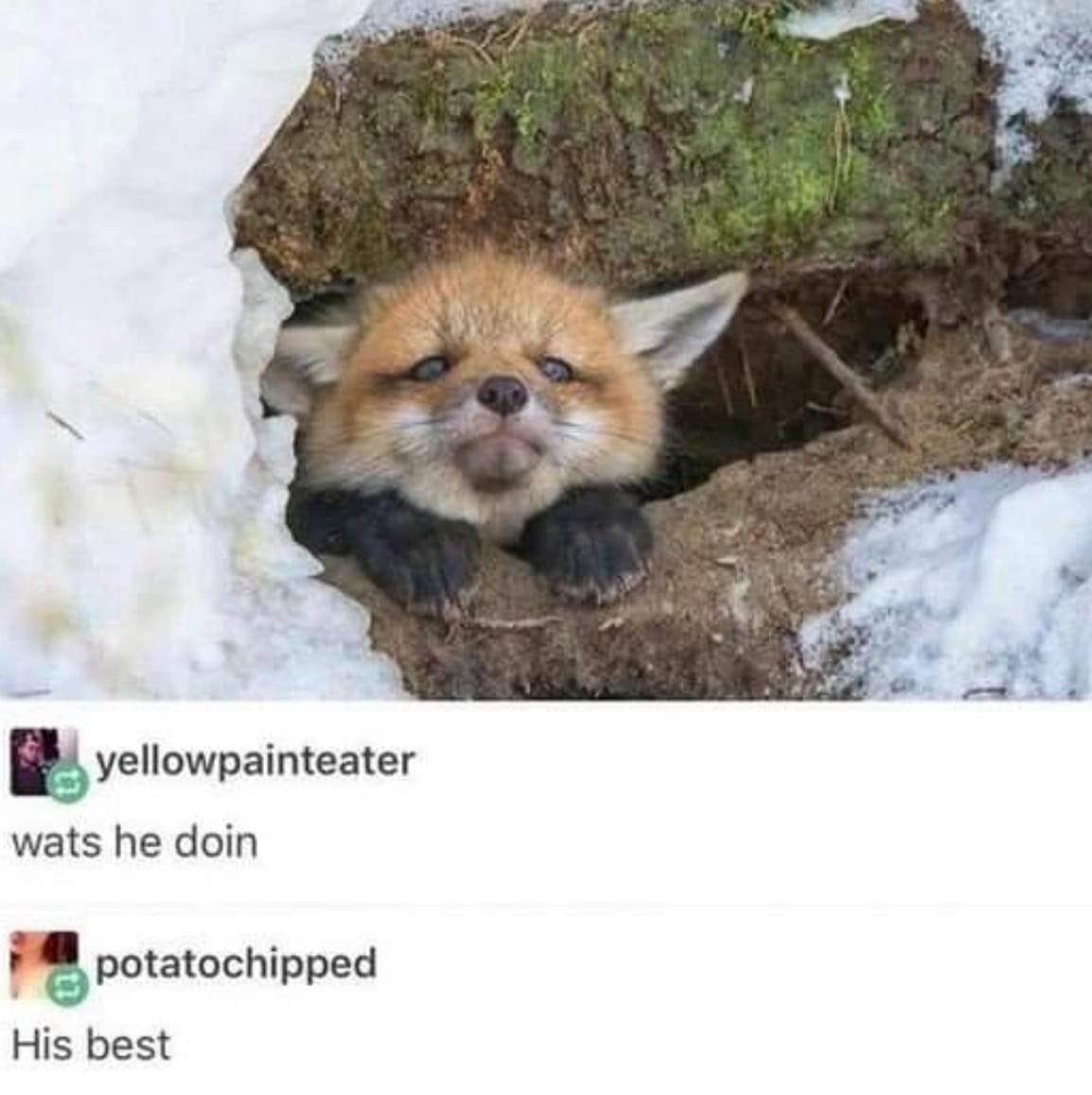 22 Memes to Distract You From Doing Anything Productive 17 WHats he doin