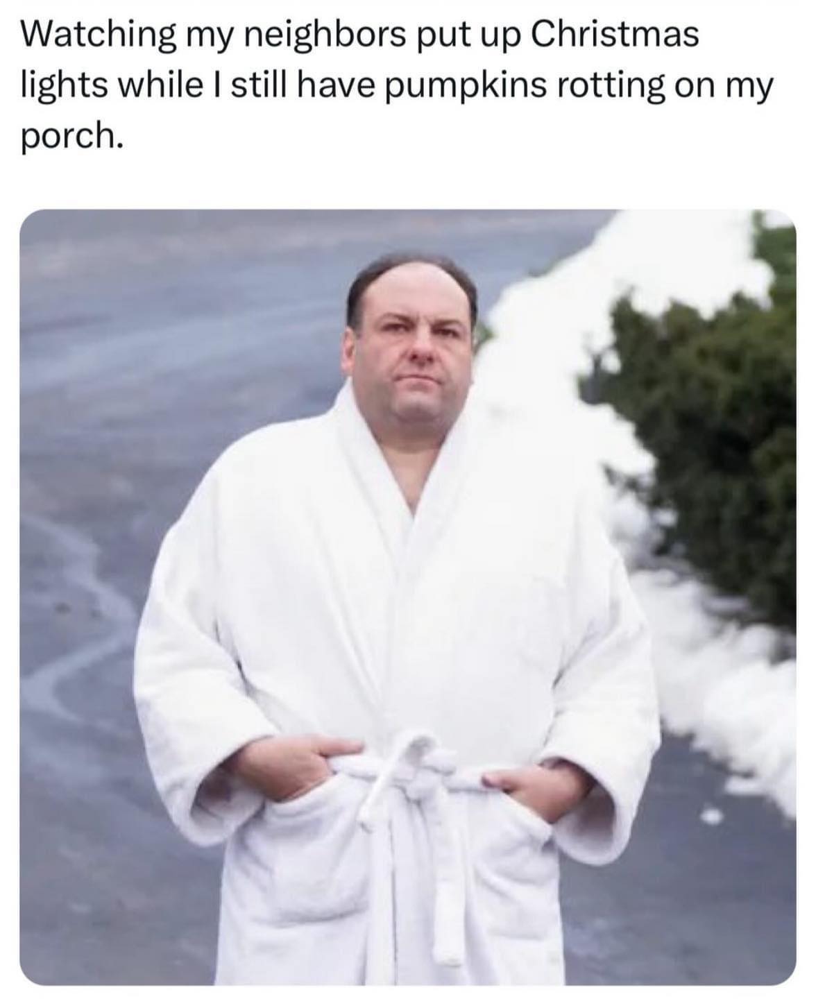 30 Side-Splitting Memes With a Dash of British Wit 15 Watching my neighbors