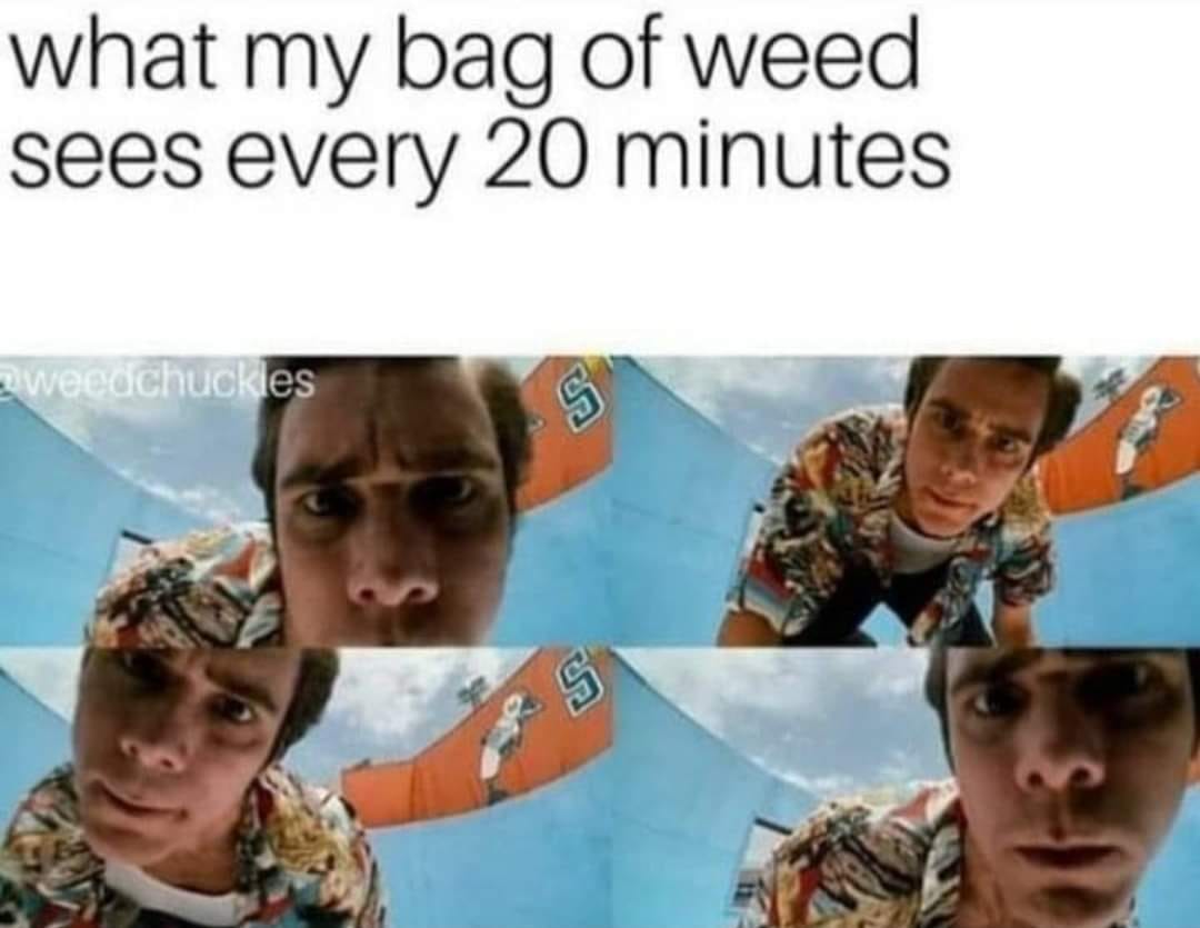 35 Hilarious Stoner Memes That Will Make Everyone Cough Up A Lung 16 The mom