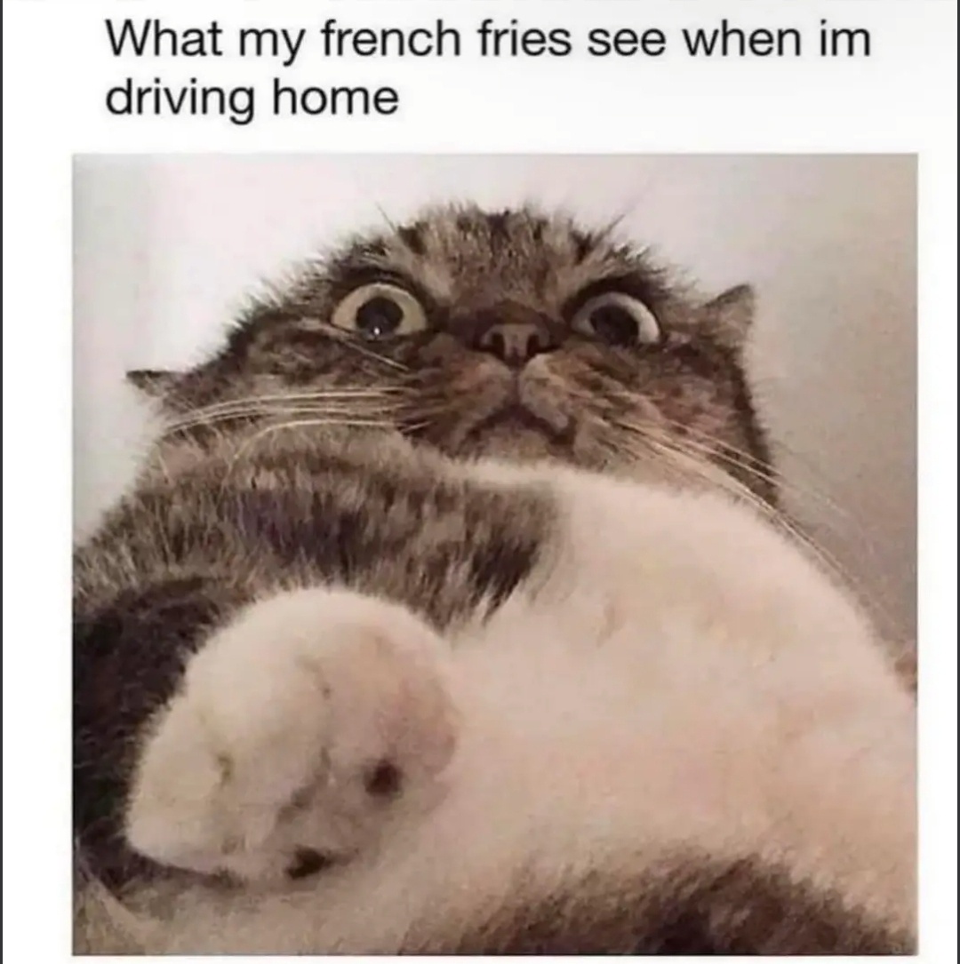 25 Memes That Will Make Your Brain Take a Vacation 25 What my french fries see