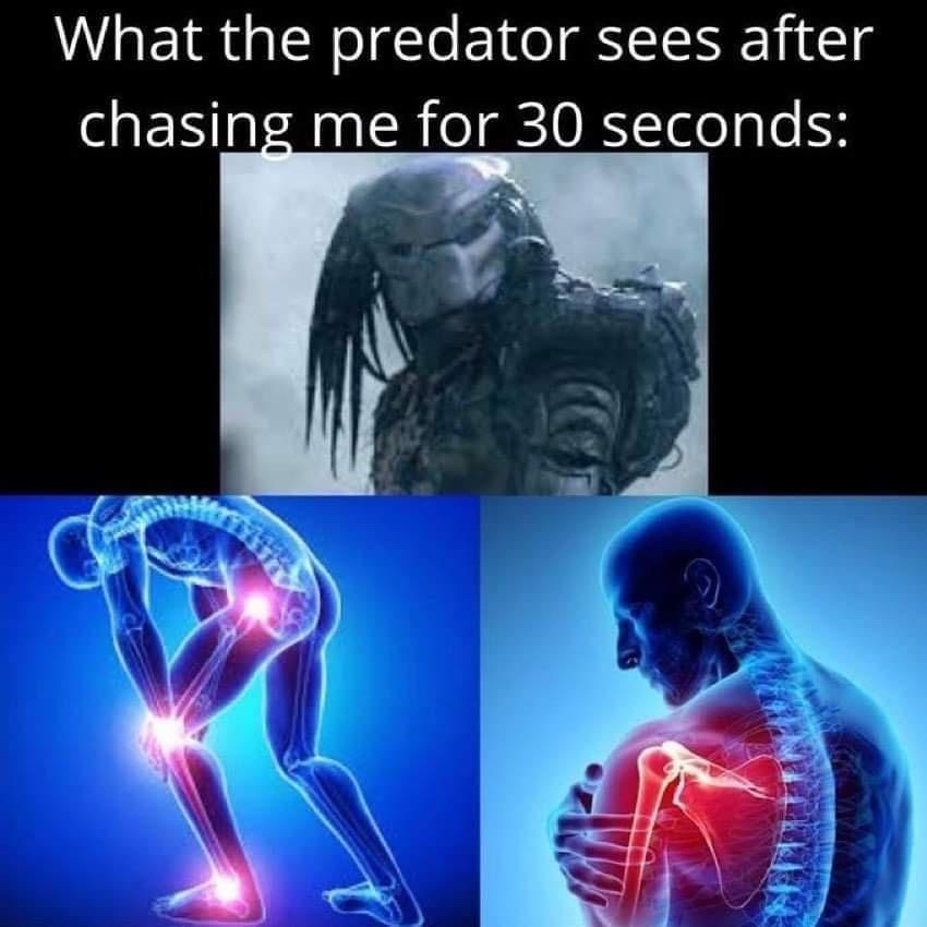 23 Memes to Scroll Through While Avoiding Responsibility 22 What predator sees
