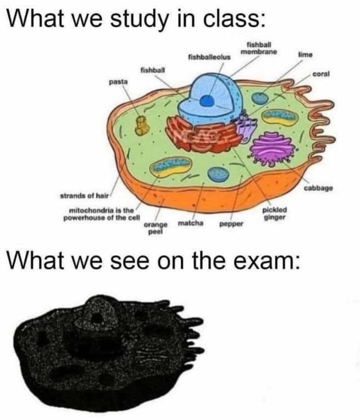 Science Flunky 25 Posts from The Darker Side of Science That Will Ignite Your Giggle ...