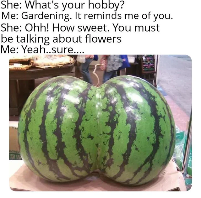 30 "Everything Reminds Me Of Her" Memes That Will Make You Call Her Right Away 30 Whats your hobby