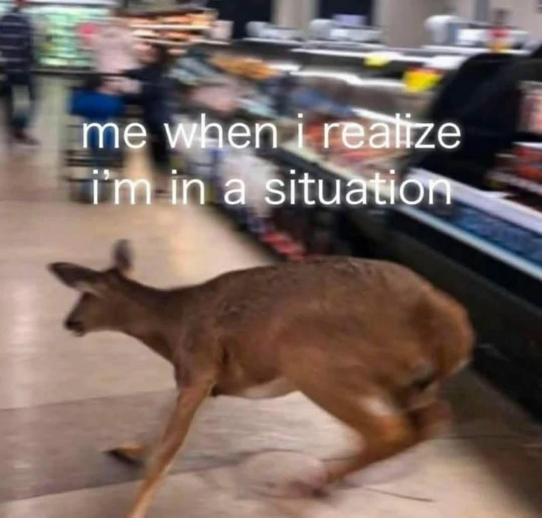 30 Memes to Brighten Your Day (Even If It’s a Monday) 30 When I realize