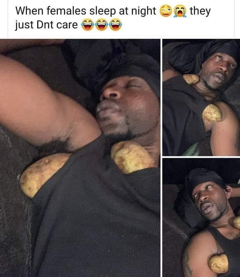 30 Memes to Scroll Through While Avoiding Responsibility 31 When females sleep