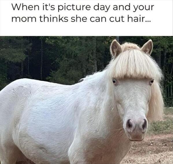 12 Memes That Will Instantly Improve Your Day (Or Night) 10 When its picture day