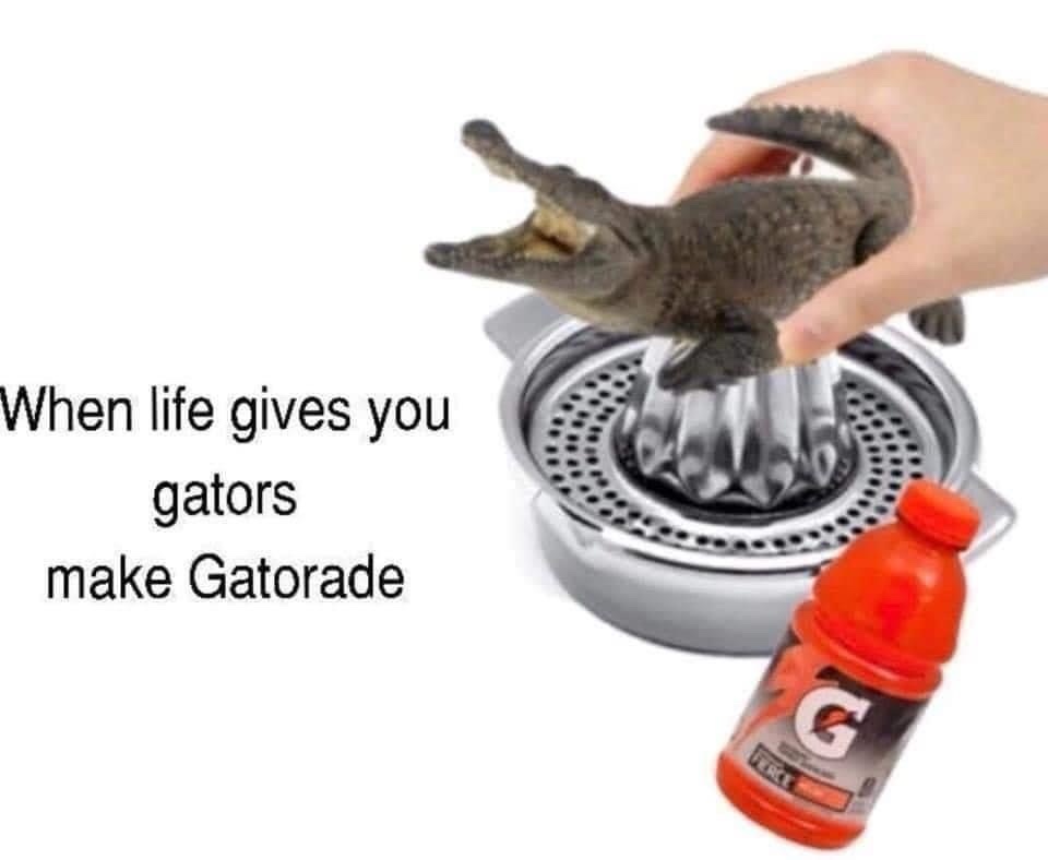 22 Memes to Distract You From Doing Anything Productive 18 When life give you gator