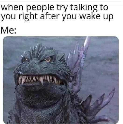 25 Memes That Could Change Your Life (Probably Not) 21 When people try talking to you