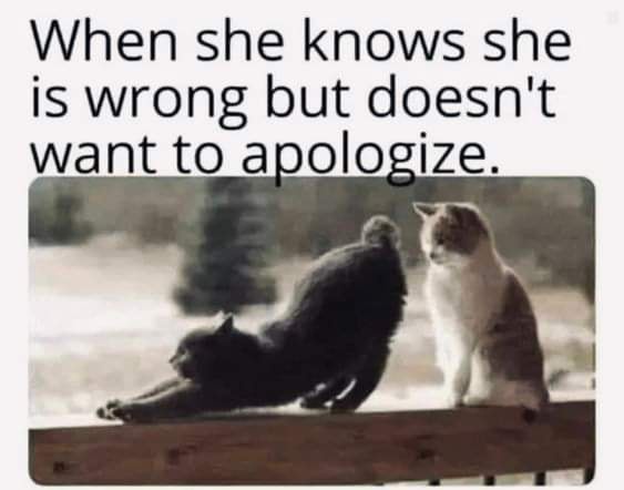 20 Memes That Are the Digital Equivalent of Free Therapy 17 When she knows shes wrong
