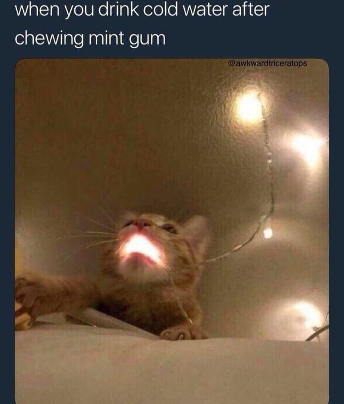 20 Memes That Are Totally Off the Wall (and Still Hilarious) 16 When you drink cold water