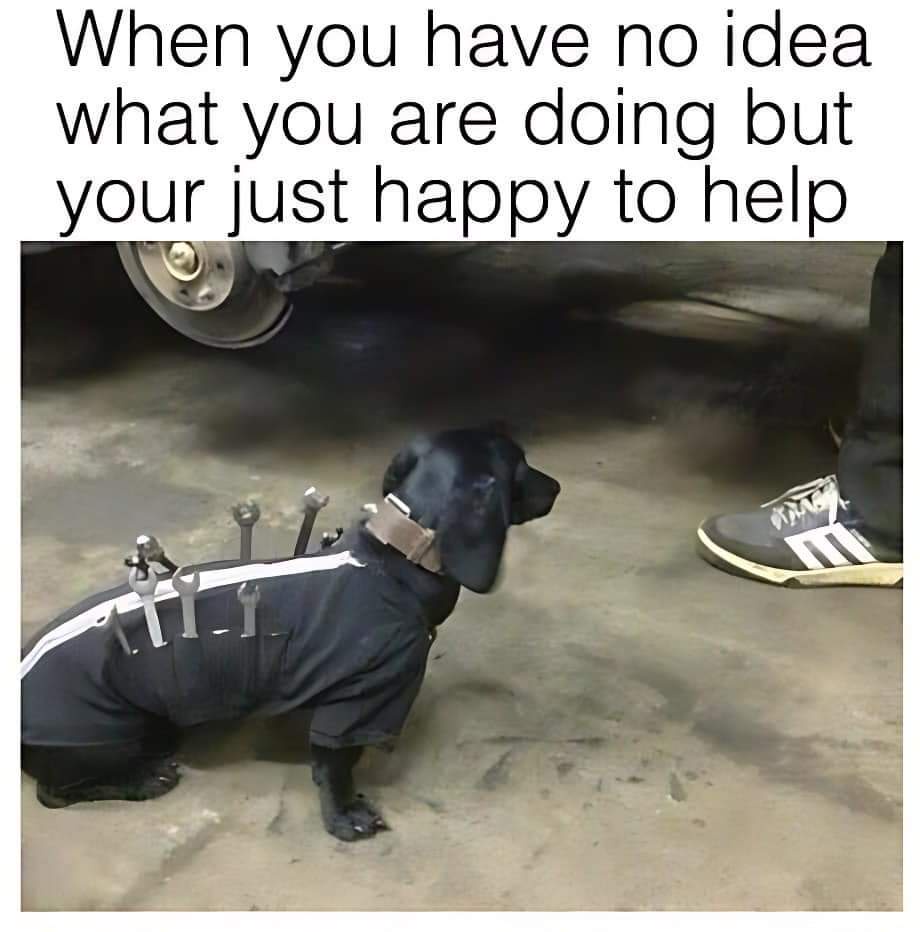 20 Car and Mechanic Memes That’ll Leave You in Tire-Screeching Laughter 23 When you have no idea - Car and Mechanic Memes
