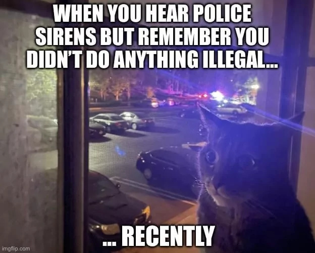 35 "Overthinking Memes" That Are Way Too Accurate 35 When you hear police sirens