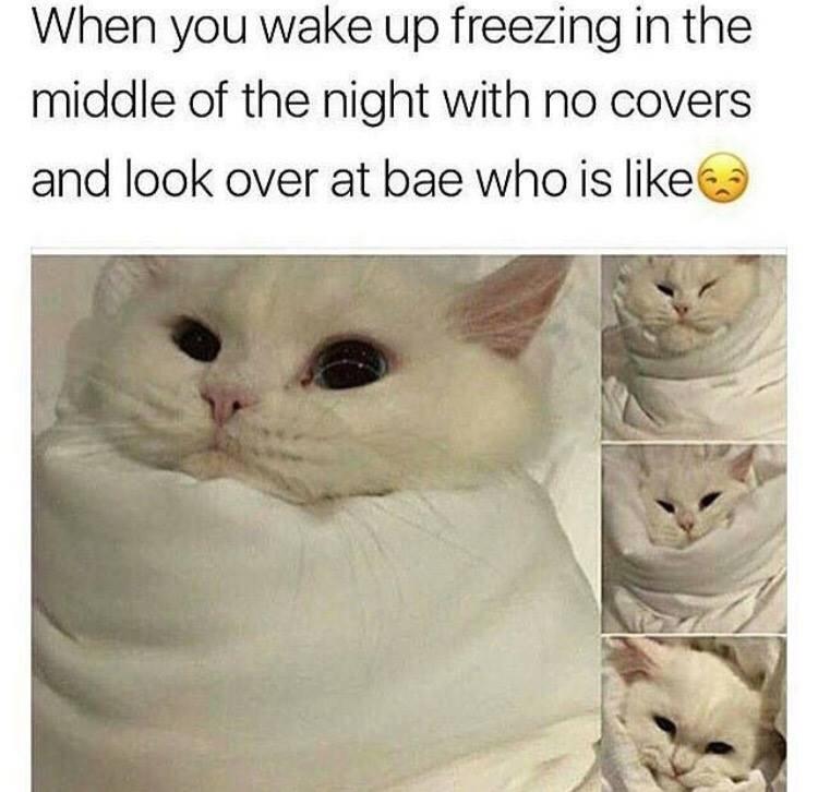 45 Relationship Memes That Captures The Chaos Of Being In A Relationship 45 When you wake up freezing