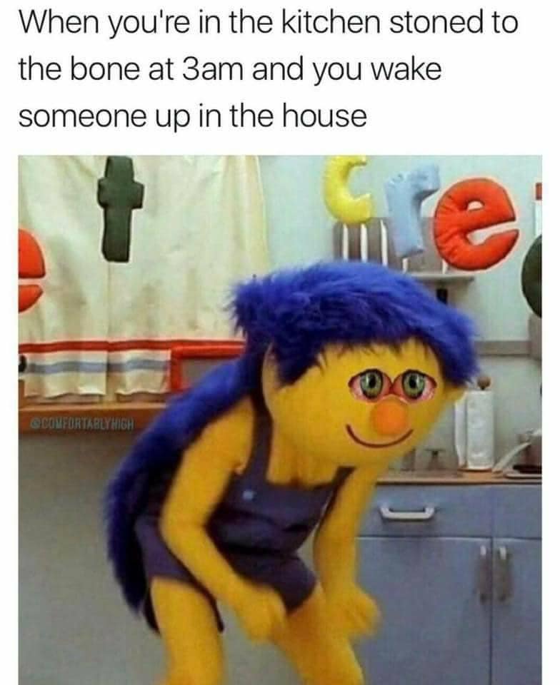 35 Hilarious Stoner Memes That Will Make Everyone Cough Up A Lung 17 The mom